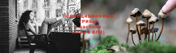 гашик Богородицк